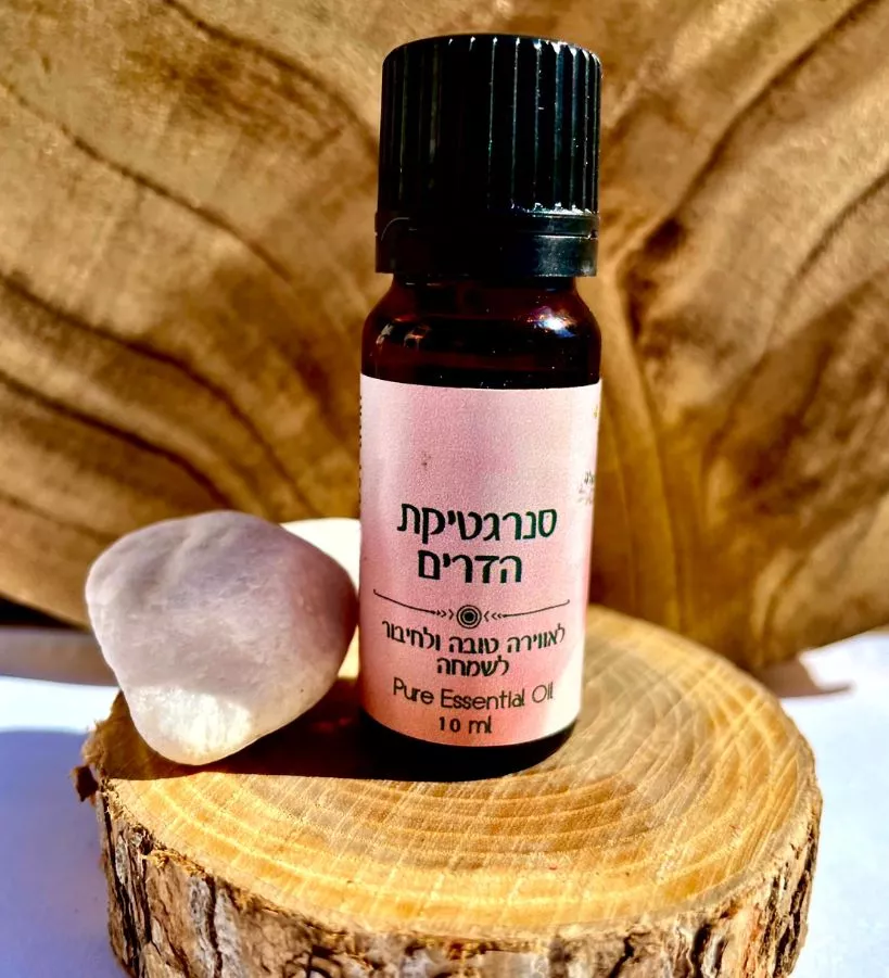 סנרגטיקת הדרים